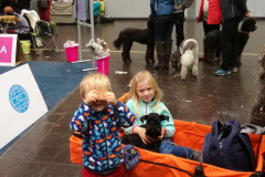 World Dog Show in  Leipzig 2017